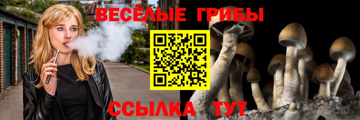 Псилоцибиновые грибы Magic Shrooms Кизилюрт